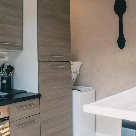 T2 Bedinsaumur Loire Chateau Confort Apartment