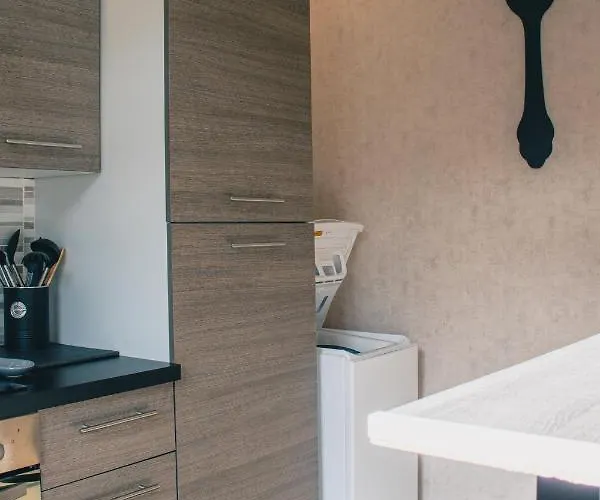 T2 Bedinsaumur Loire Chateau Confort Διαμέρισμα